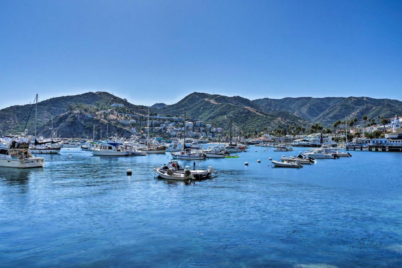Lux Oceanfront Penthouse Suite Wpanoramic Views Avalon Exterior foto