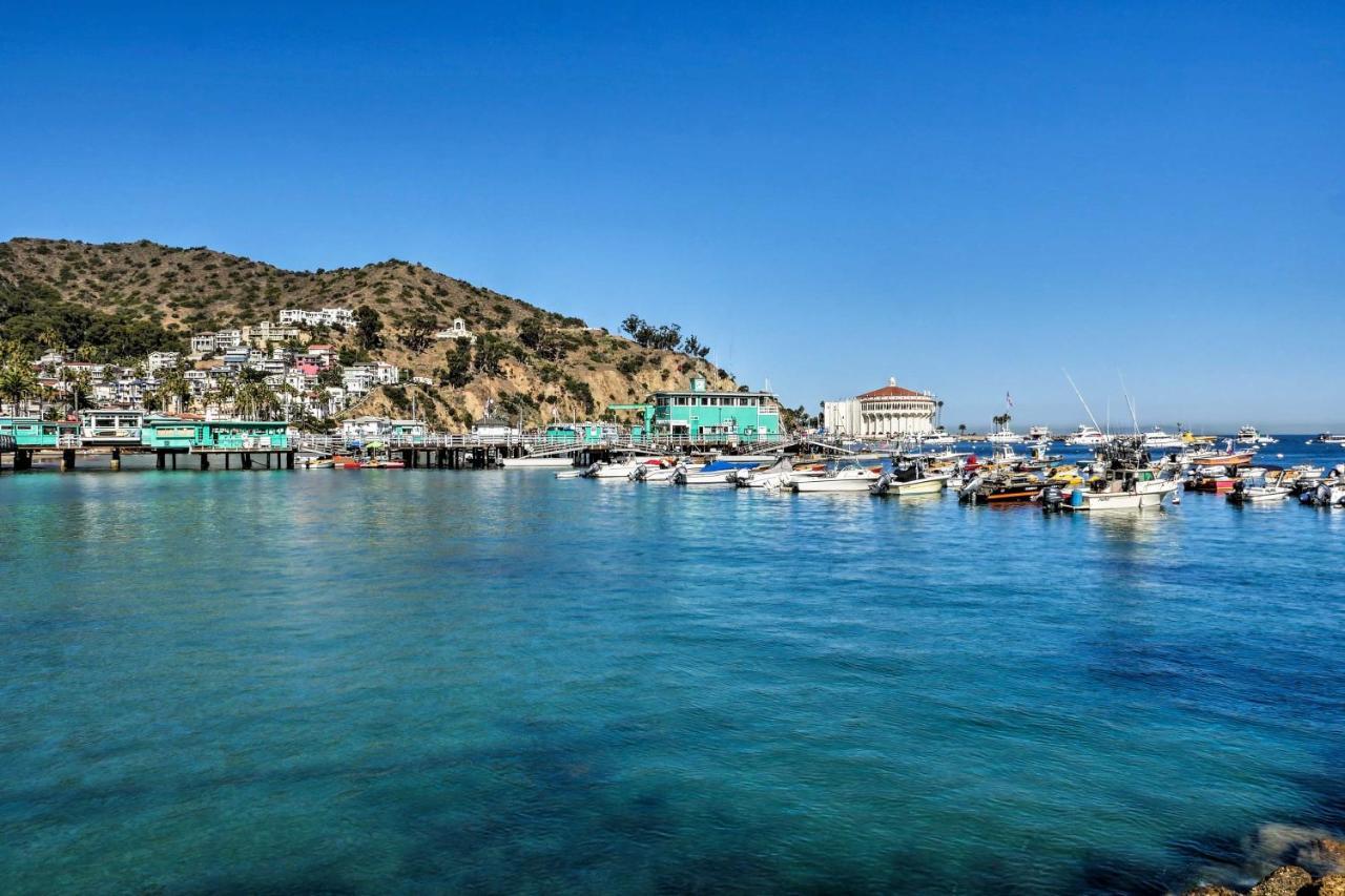 Lux Oceanfront Penthouse Suite Wpanoramic Views Avalon Exterior foto